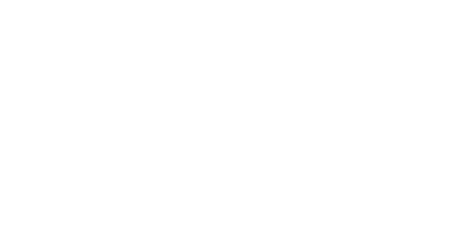 Wordpress-Internetagentur-Logo